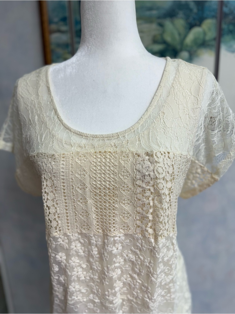 2 Pc Gorgeous Lace Top w/Poly Tank. Short Sleeve, summer light weight, stretch
